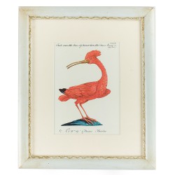 Постер в раме Птица красная